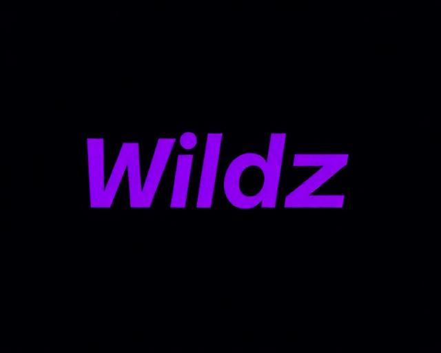 Wildz Casino logo